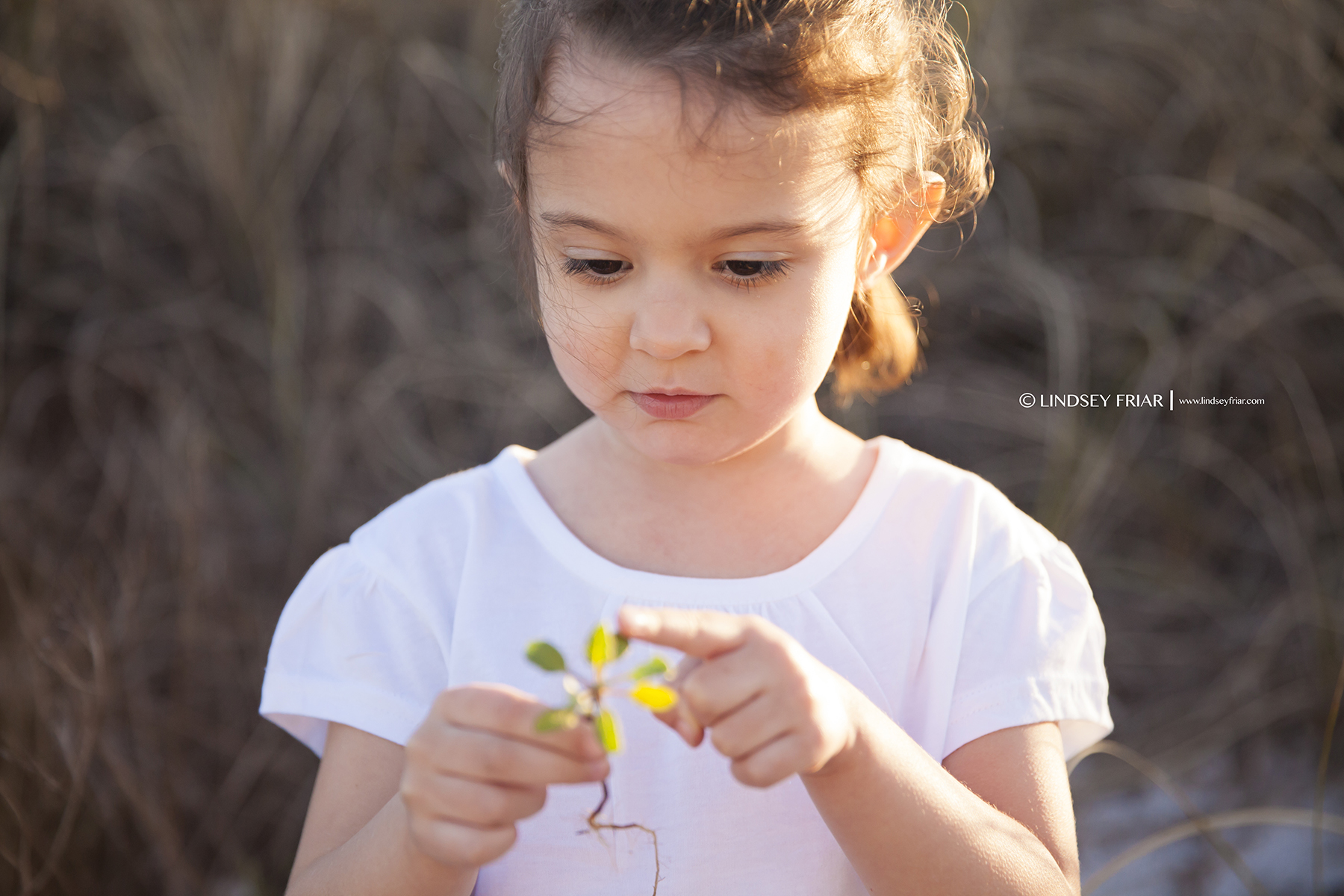 4 Lindsey Friar Photography