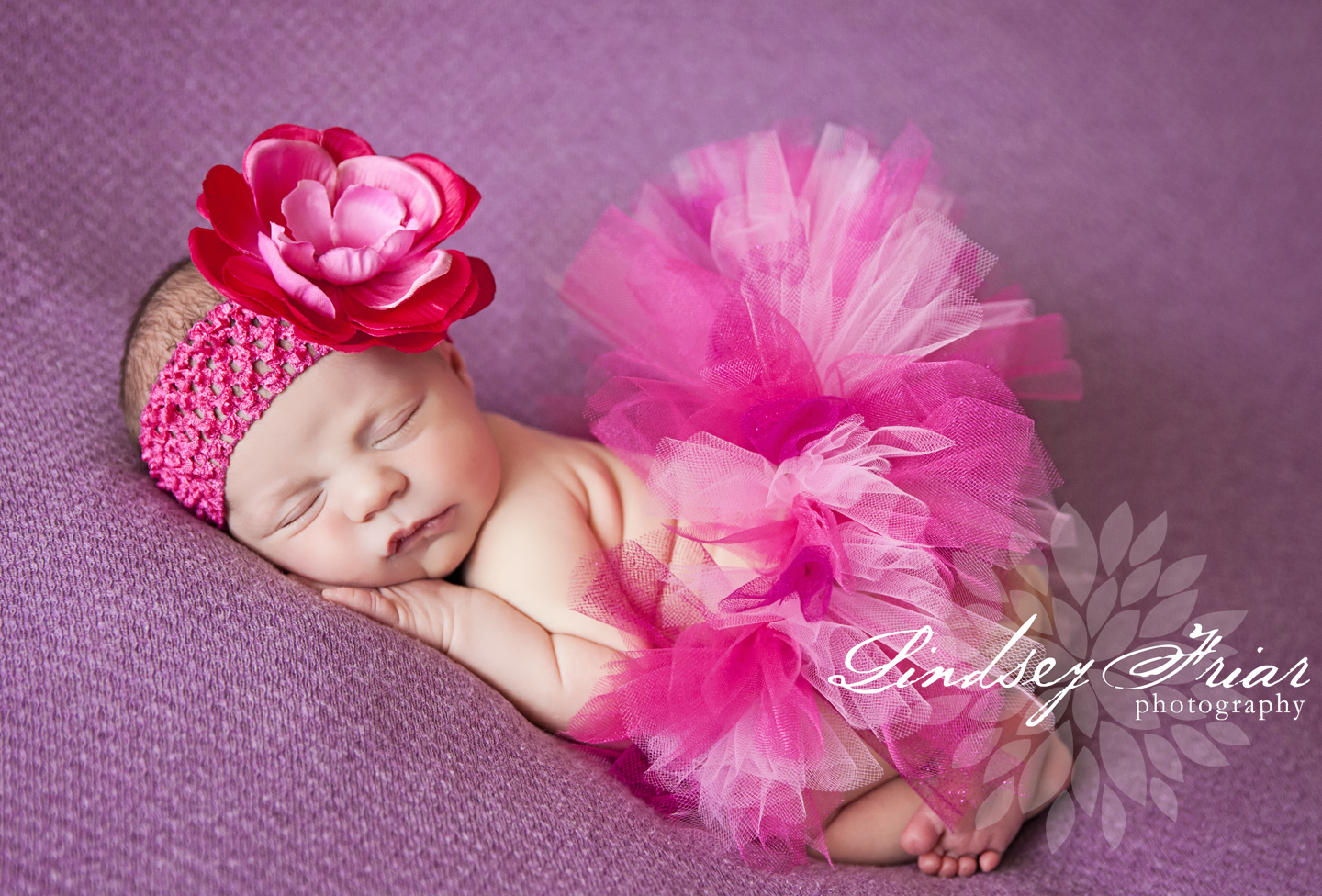7 Lindsey Friar Photography 20141