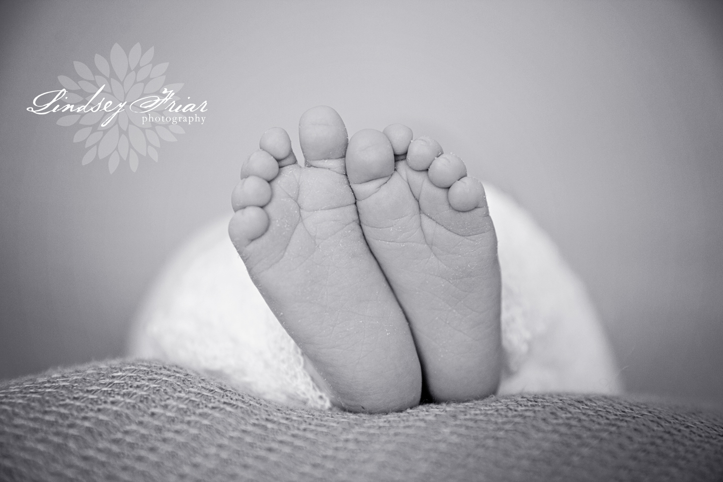 9 Lindsey Friar Photography 2014