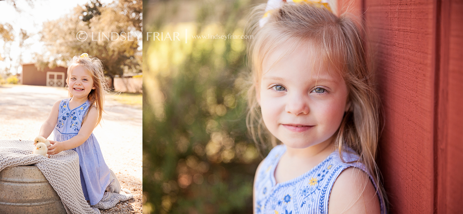 Lindsey Friar Photography