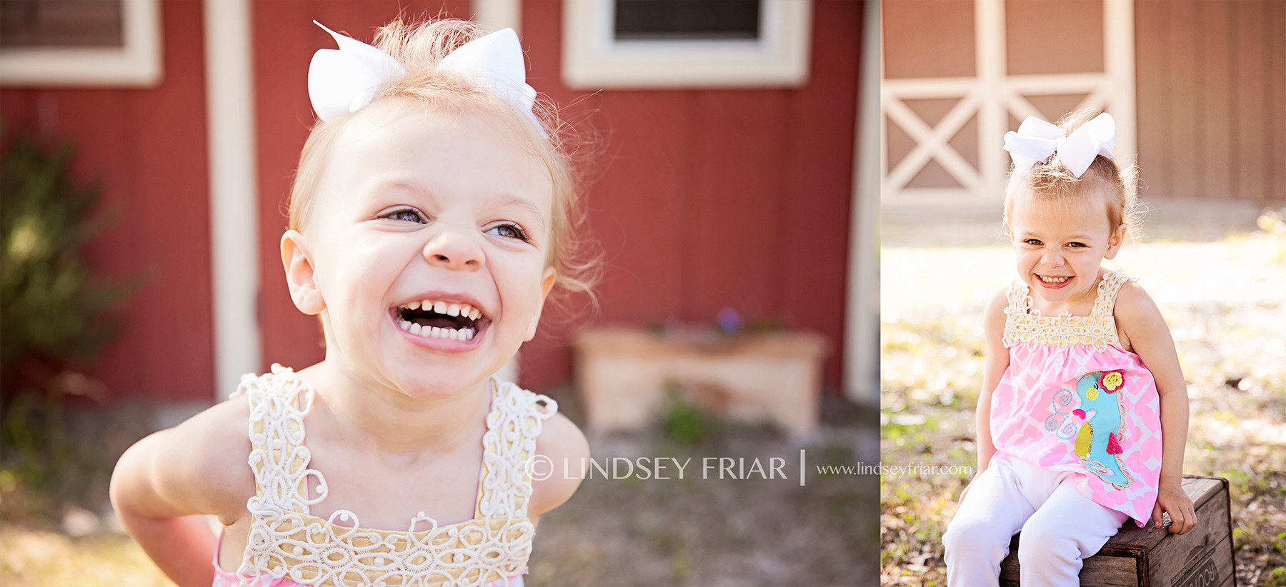 Lindsey Friar Photography 2014
