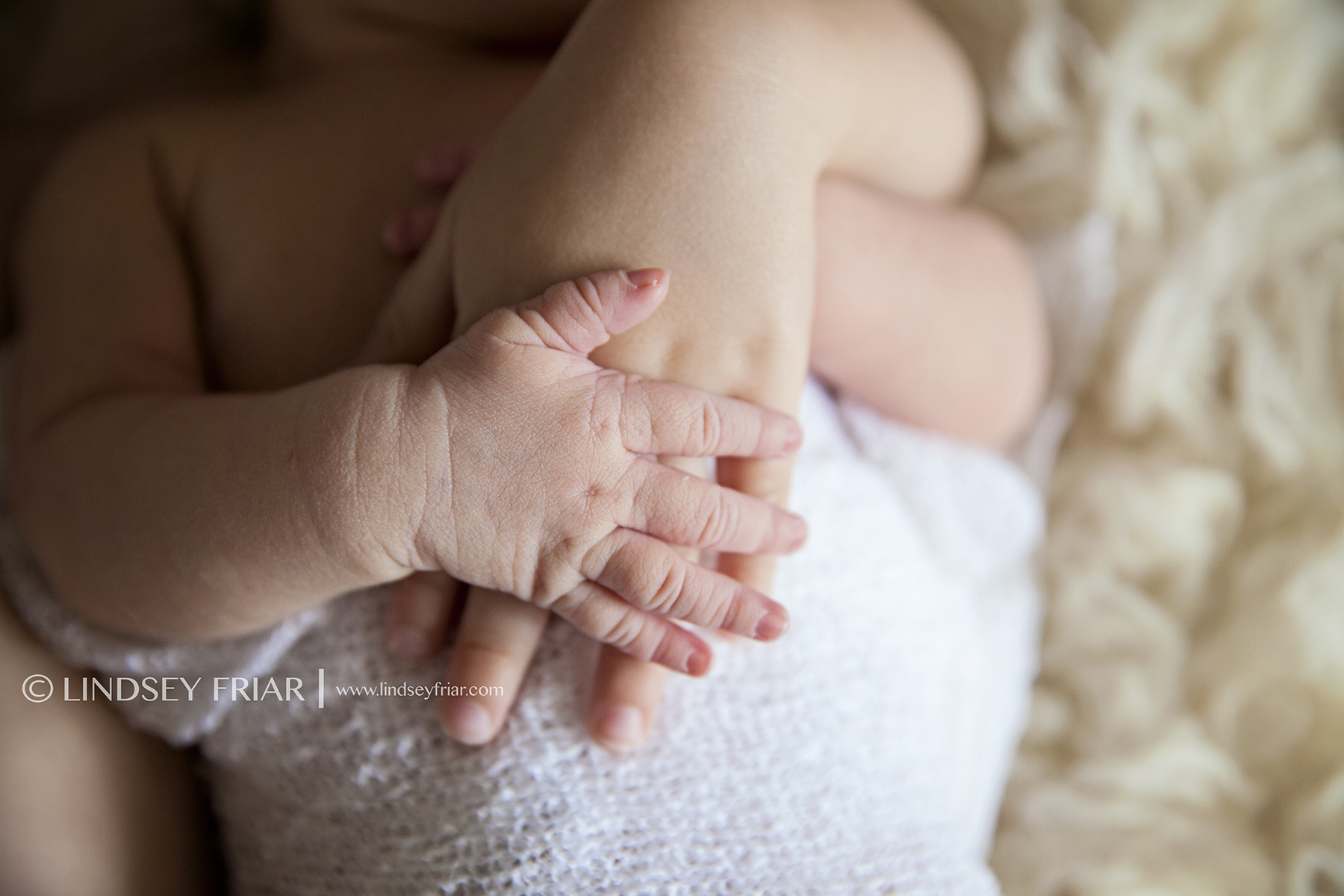 10 Lindsey Friar Photography 20143