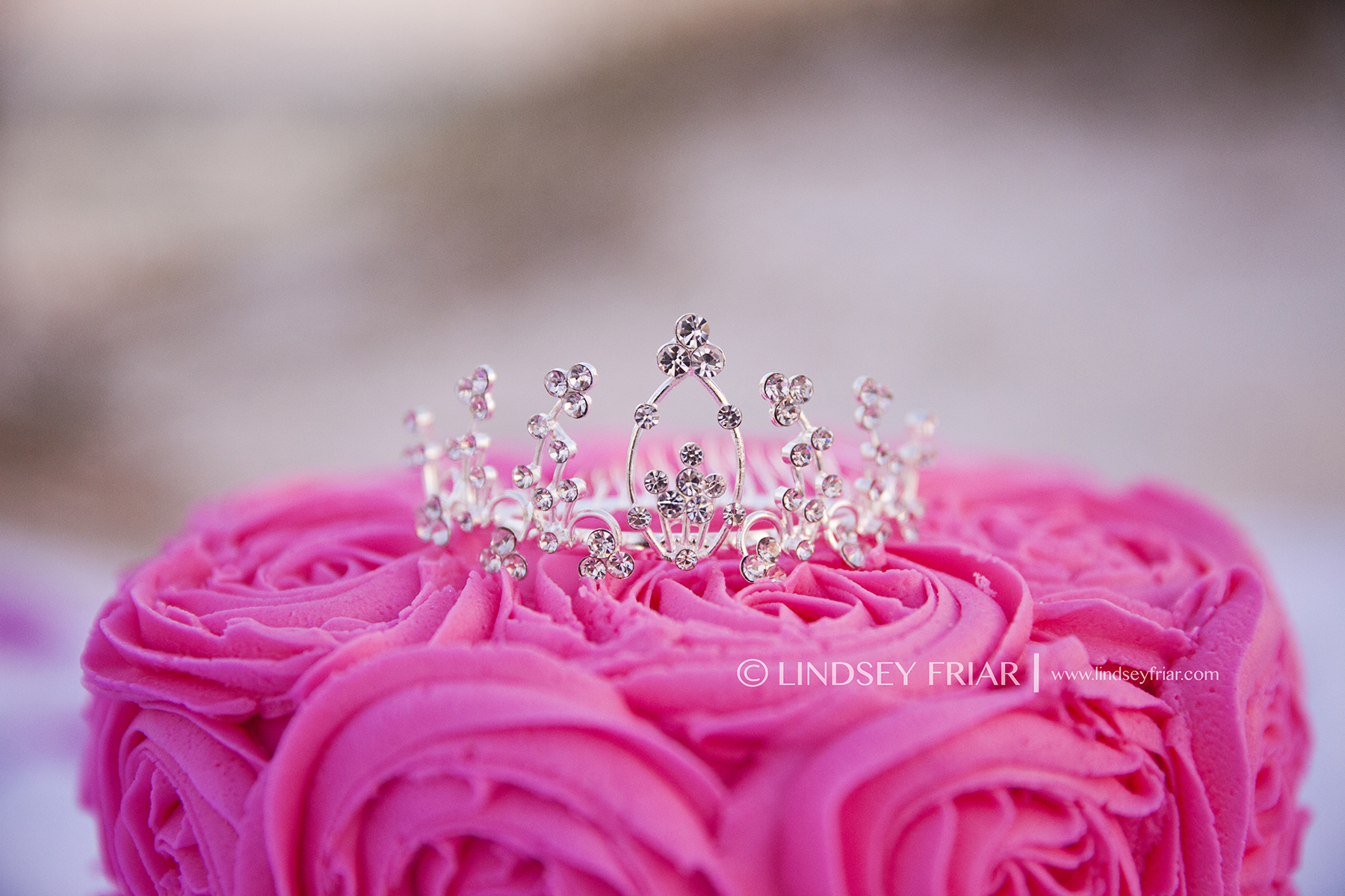 11 Lindsey Friar Photography 20141
