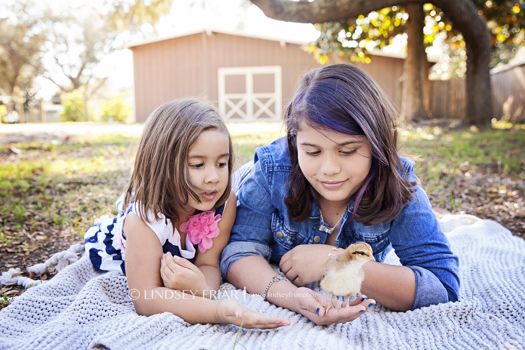 3 Lindsey Friar Photography 2014
