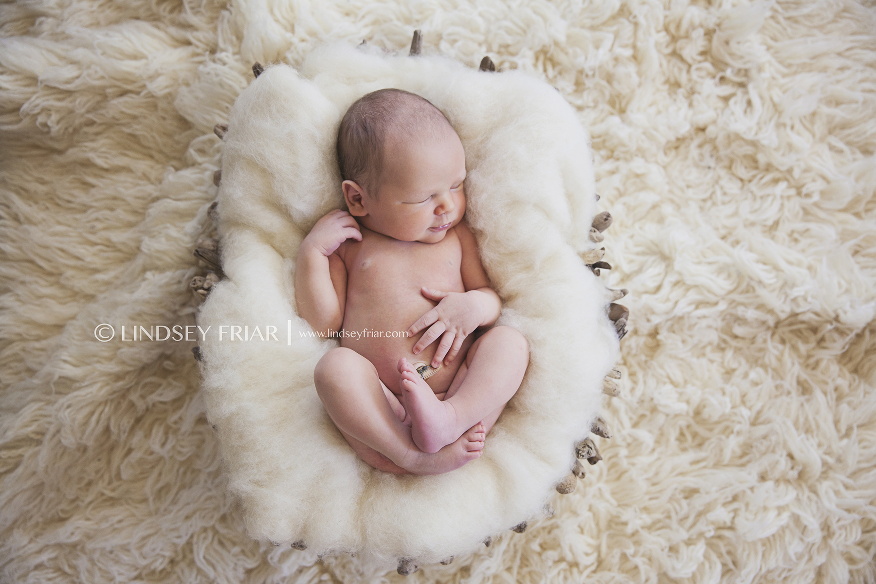 11 Lindsey Friar Photography 2014 Pensacola And Gulf Breeze Newborn Photographer