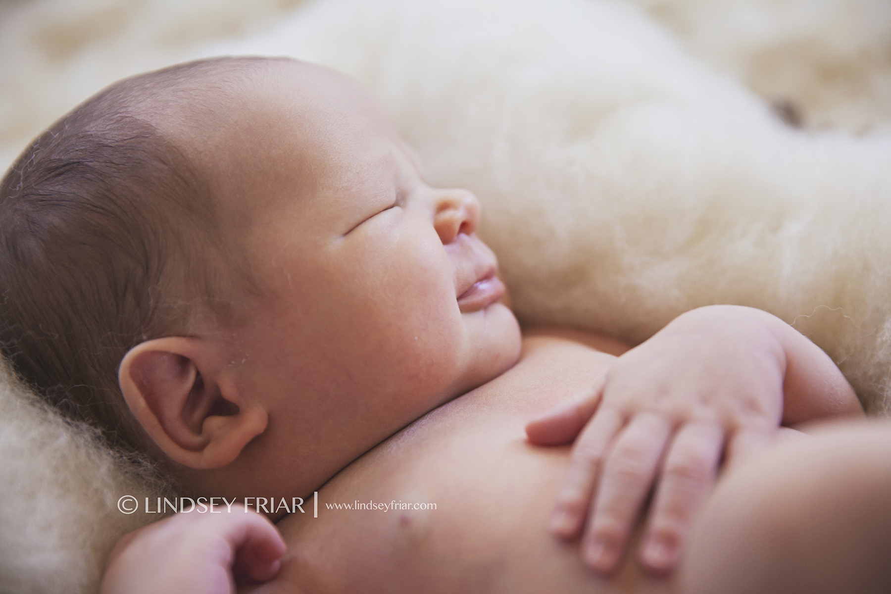 12 Lindsey Friar Photography 2014 Pensacola And Gulf Breeze Newborn Photographer