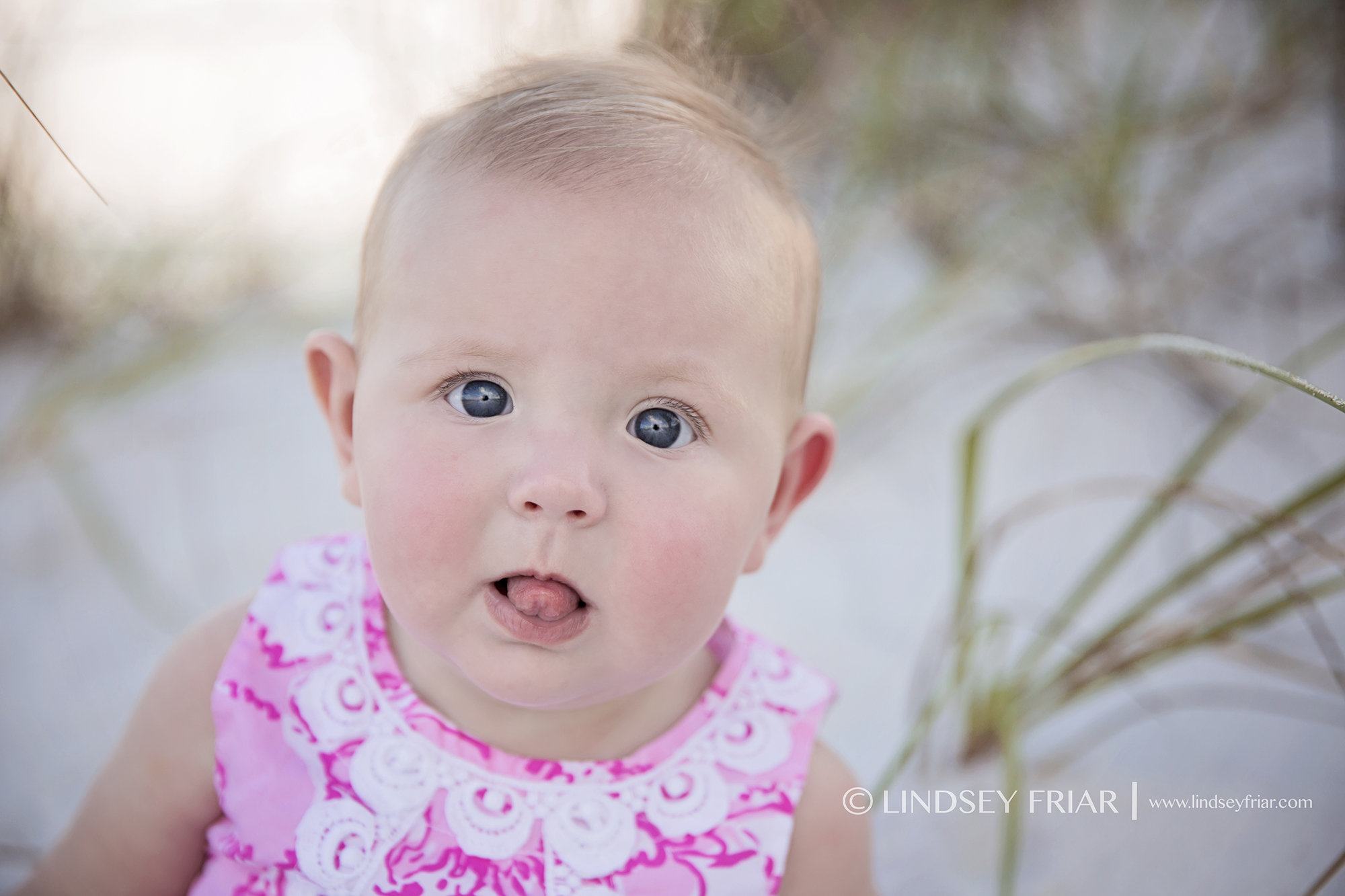 1 Lindsey Friar Photography 2014