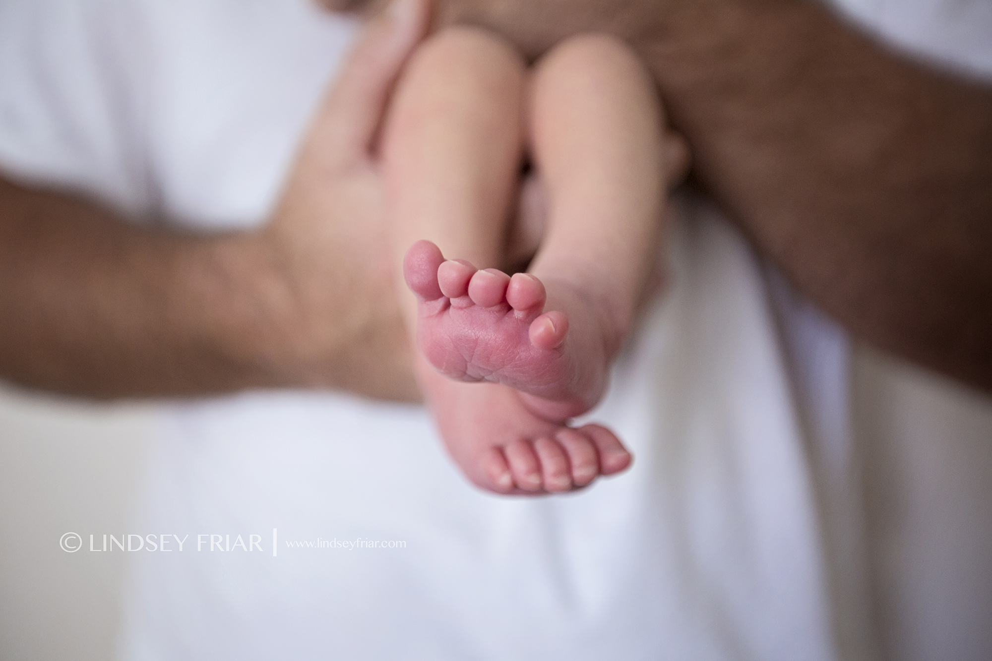 10 Lindsey Friar Photography 2014
