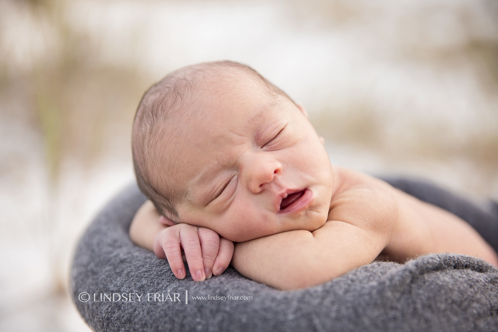 2 Lindsey Friar Photography 2014 W1