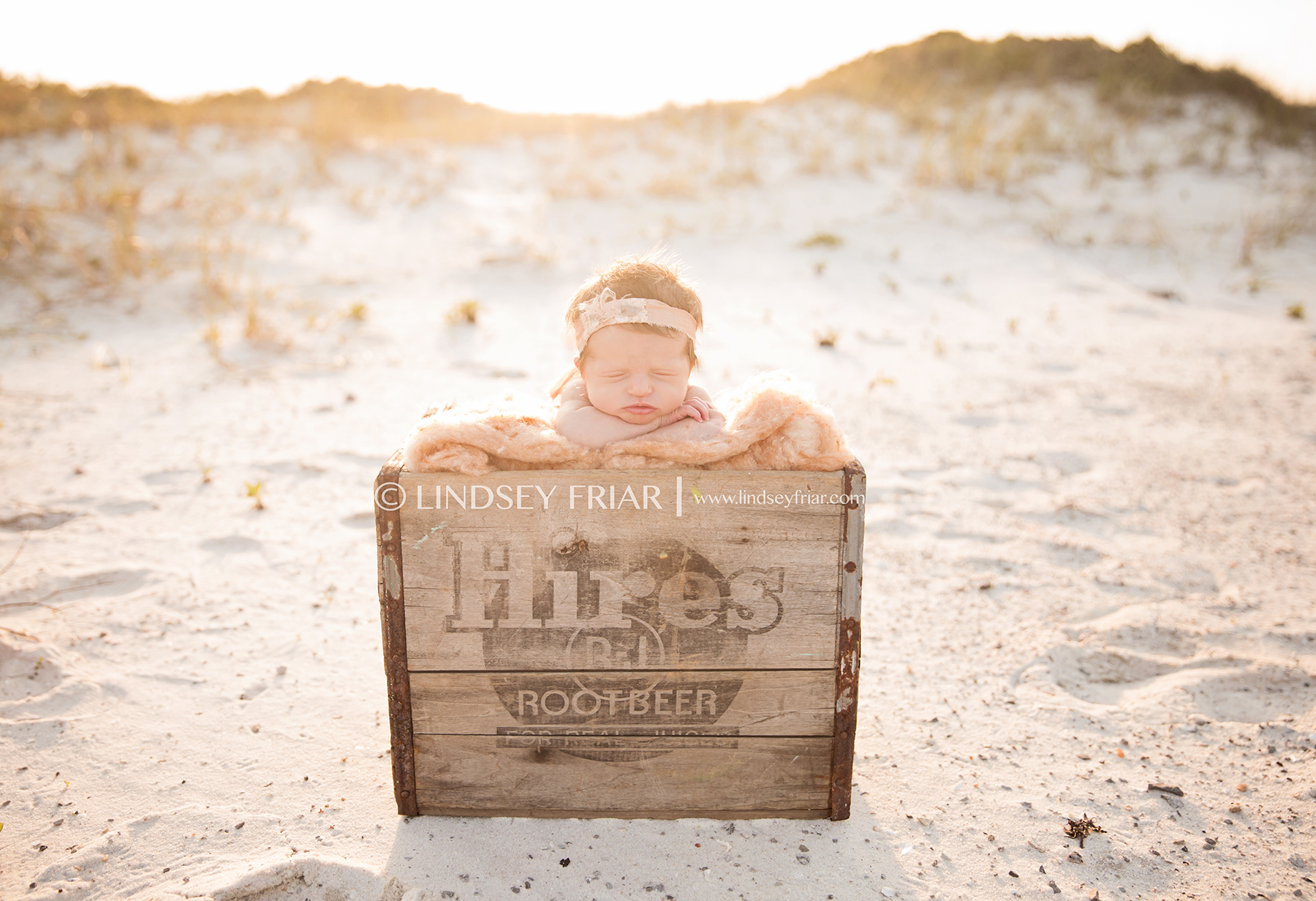 2 Lindsey Friar Photography 2014