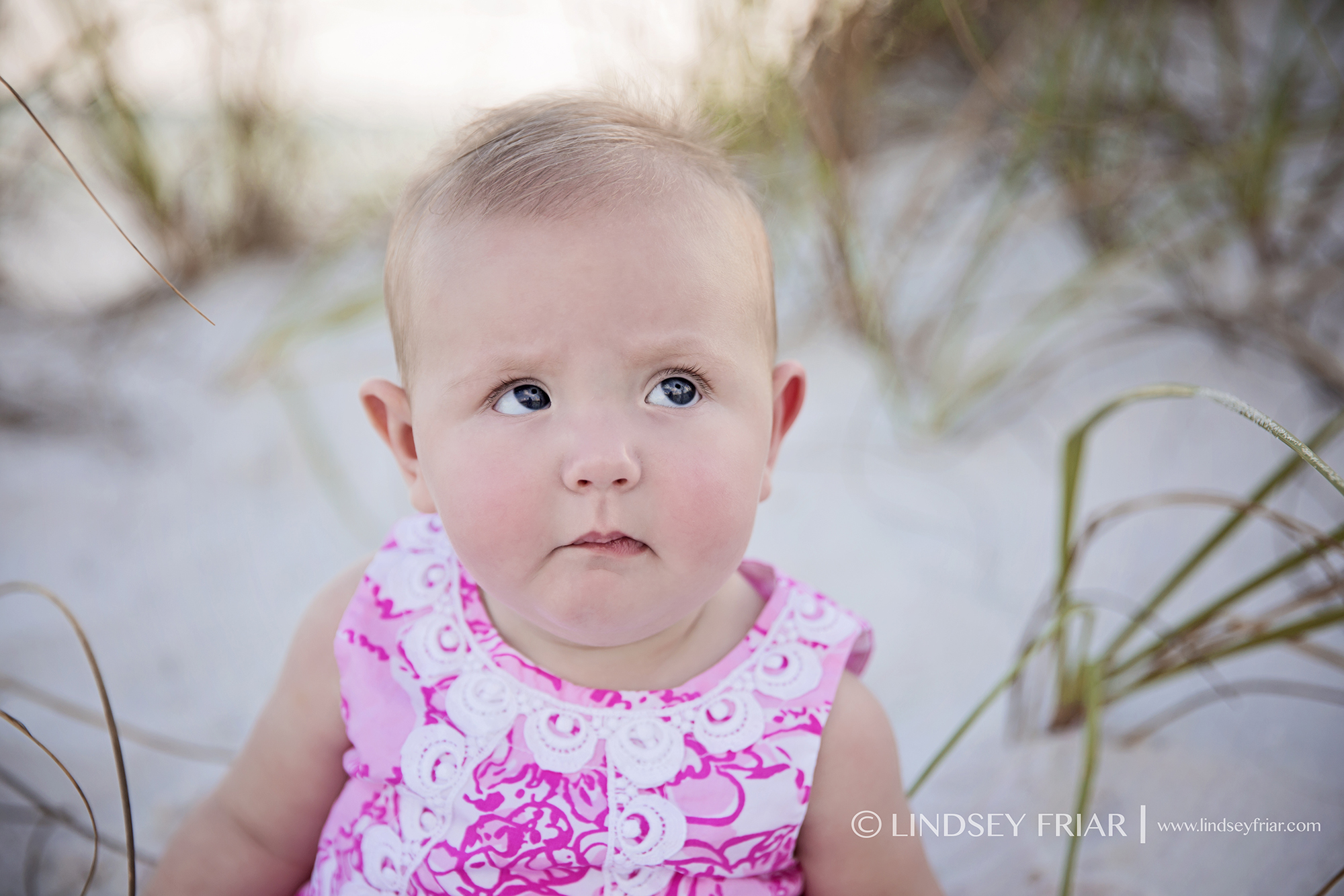 2 Lindsey Friar Photography 20141