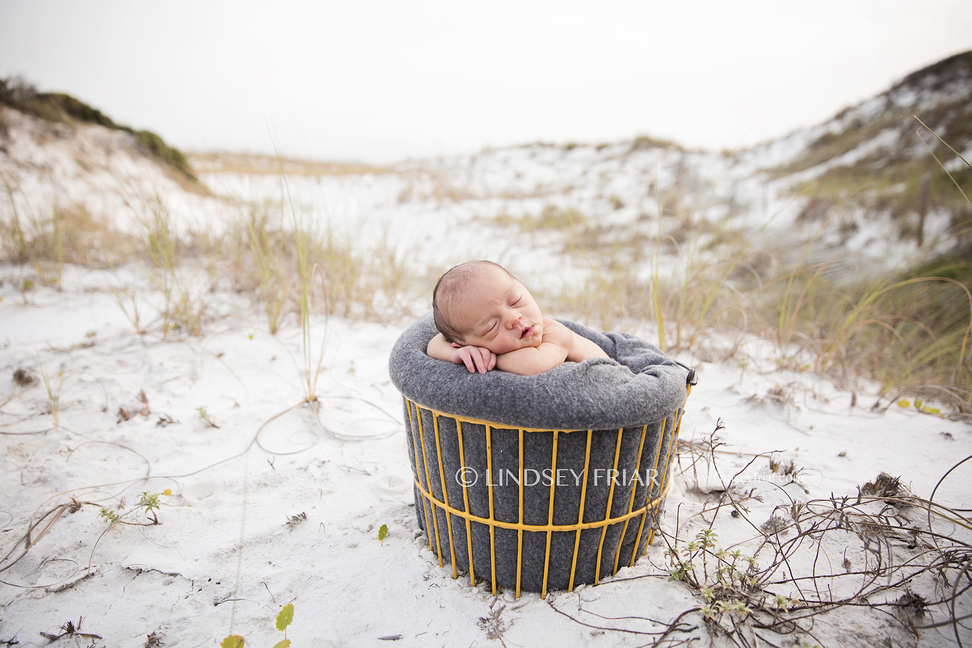 3 Lindsey Friar Photography 2014 W2