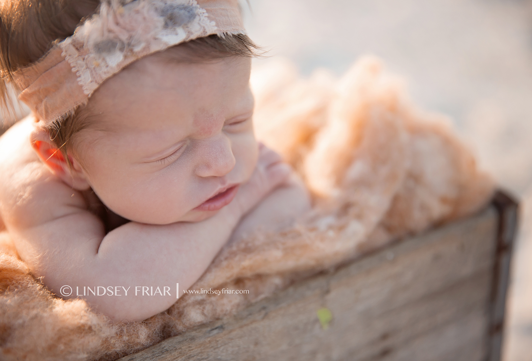 3 Lindsey Friar Photography 2014