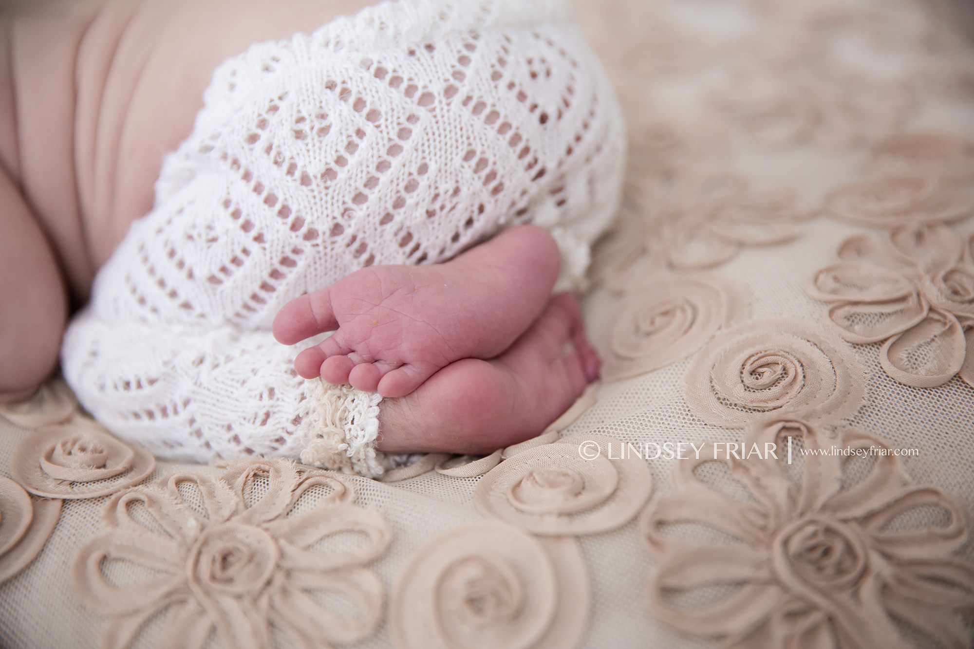 30 Lindsey Friar Photography 2014