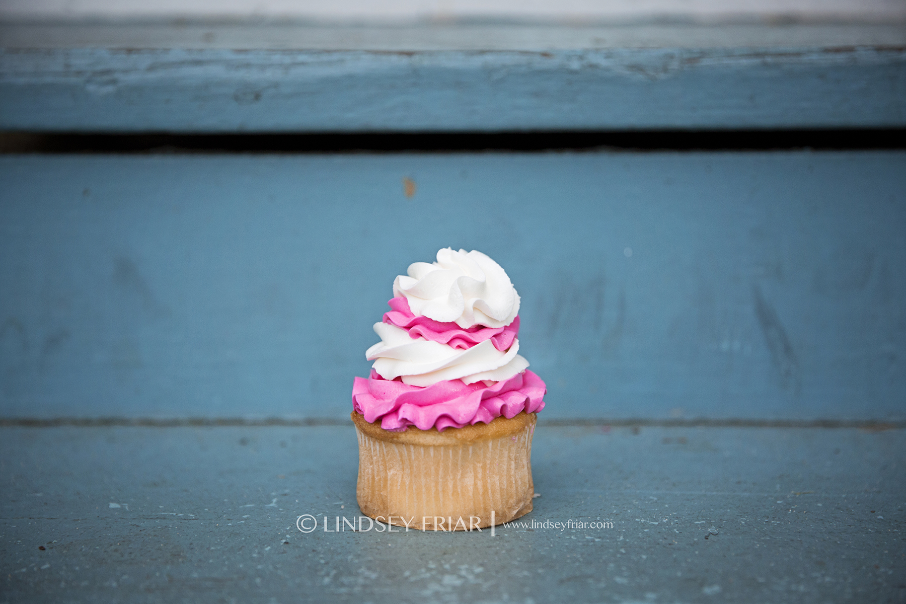 37 Lindsey Friar Photography 2014w