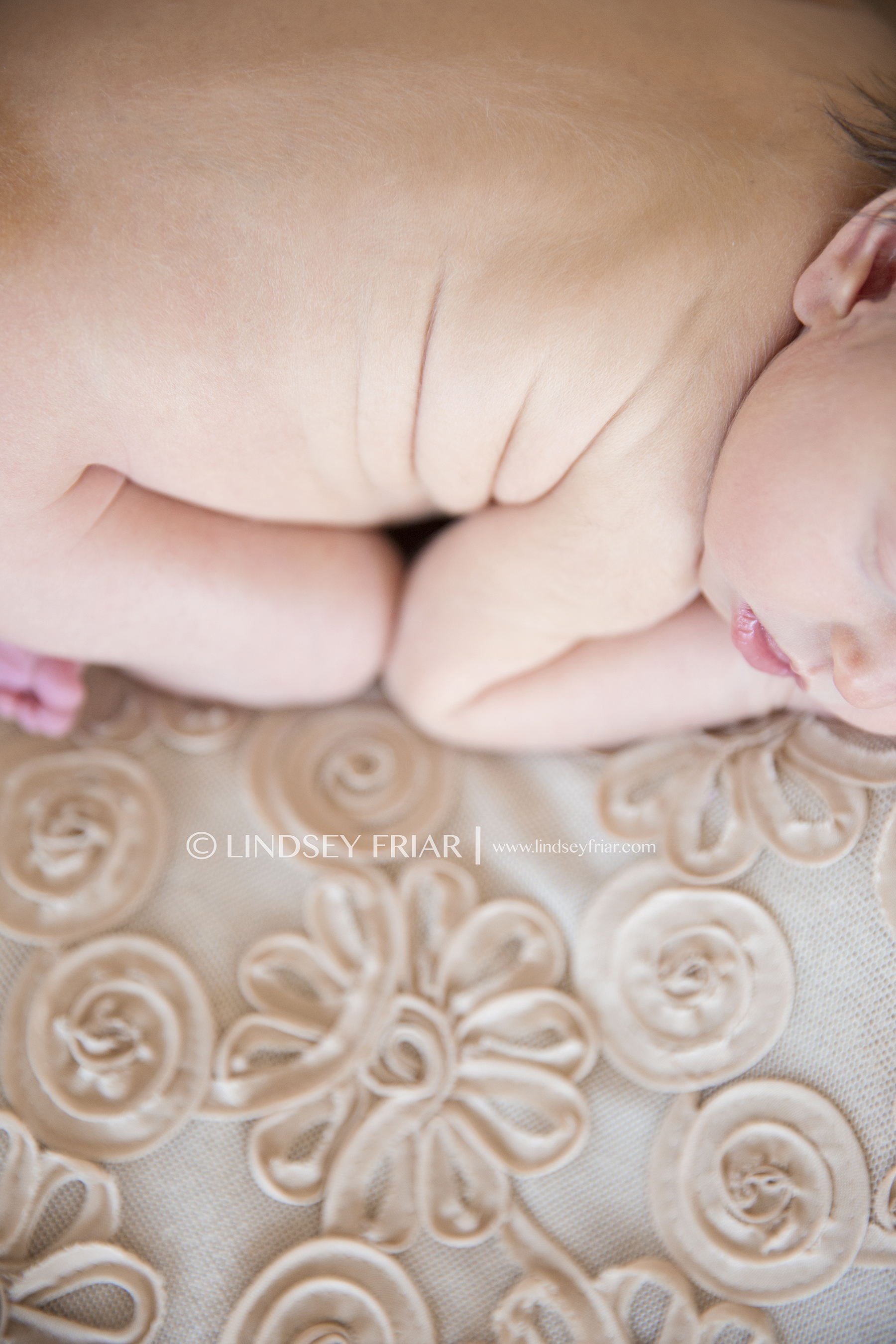 39 Lindsey Friar Photography 2014 W
