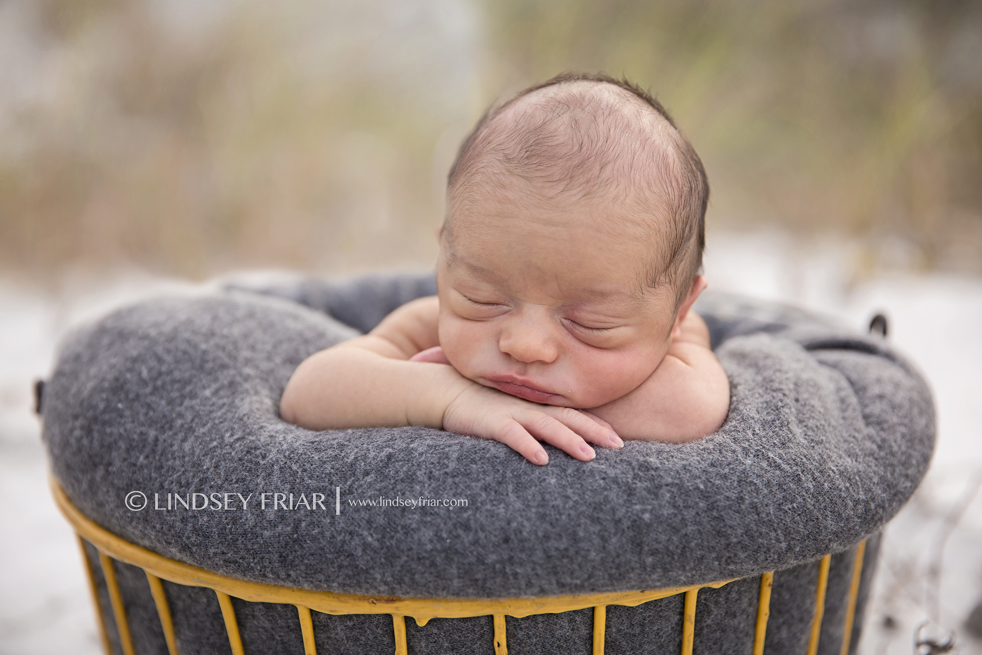 4 Lindsey Friar Photography 2014 W1