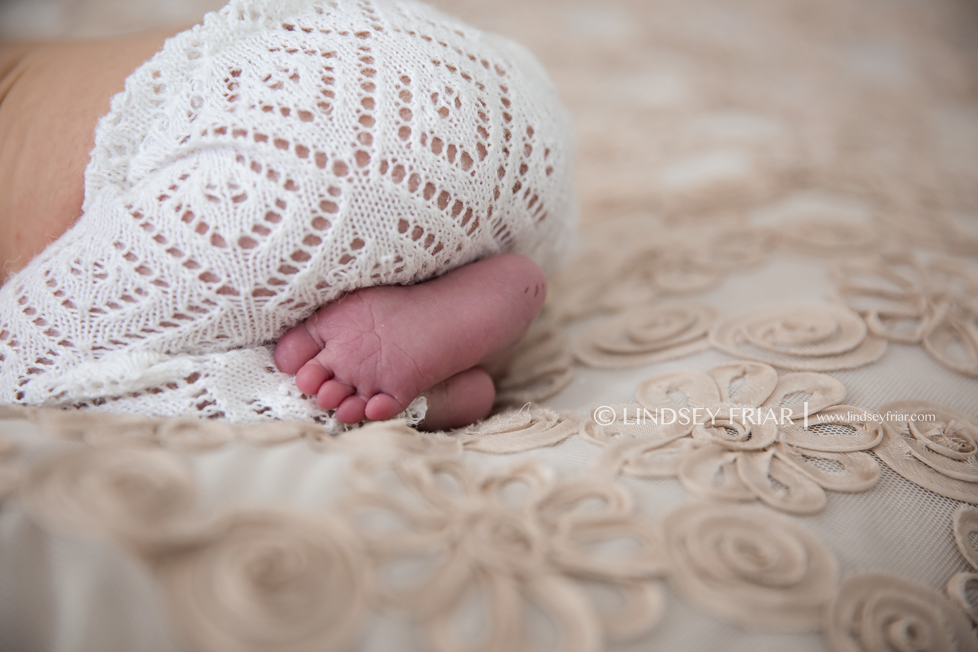 47 Lindsey Friar Photography 2014