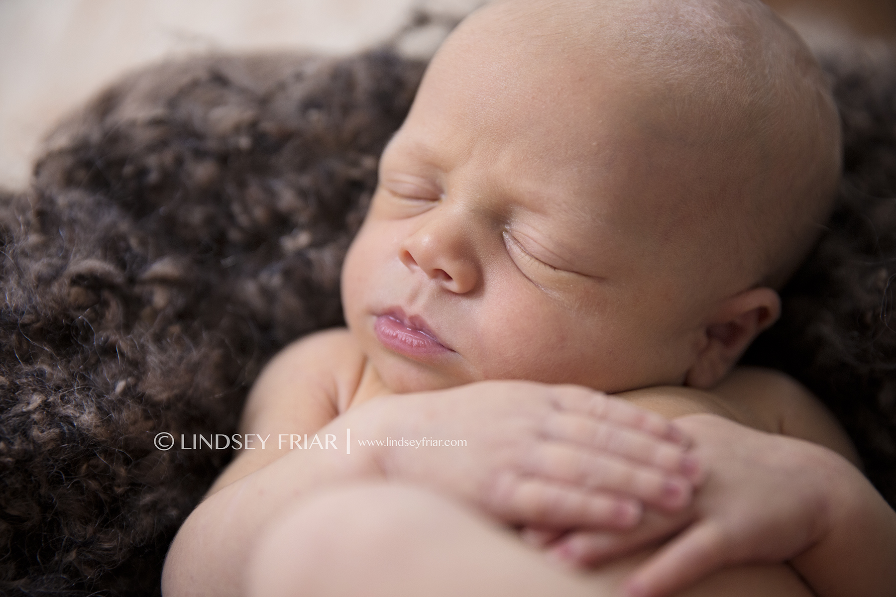 58 Lindsey Friar Photography 2014w