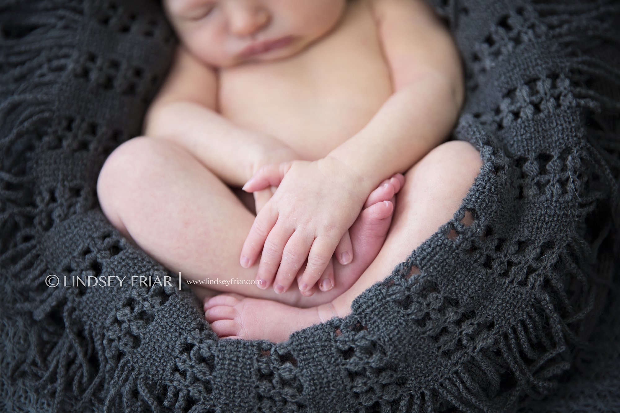 62 Lindsey Friar Photography 2014