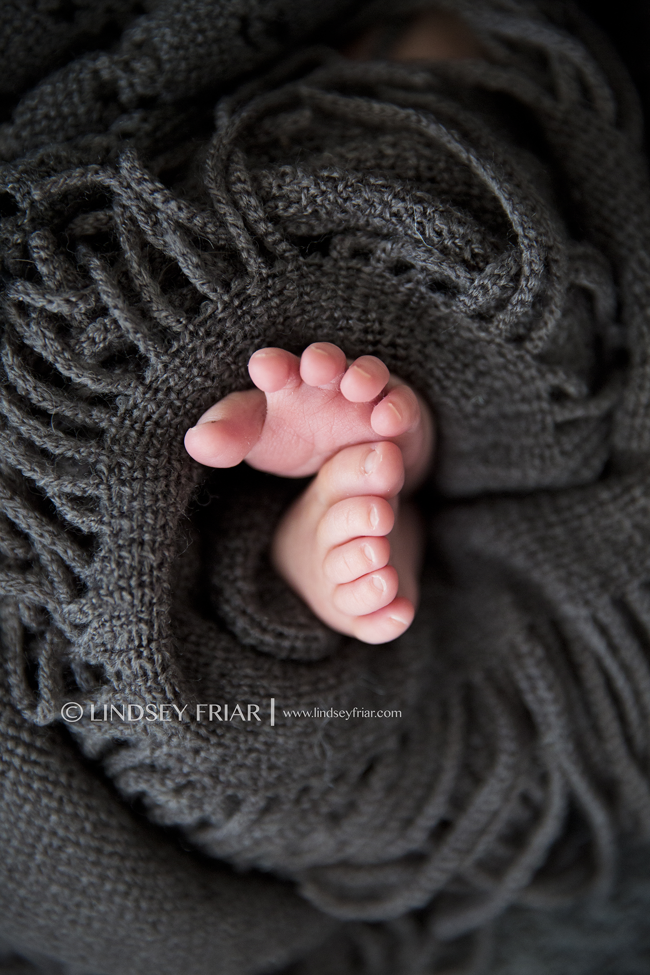 64 Lindsey Friar Photography 2014