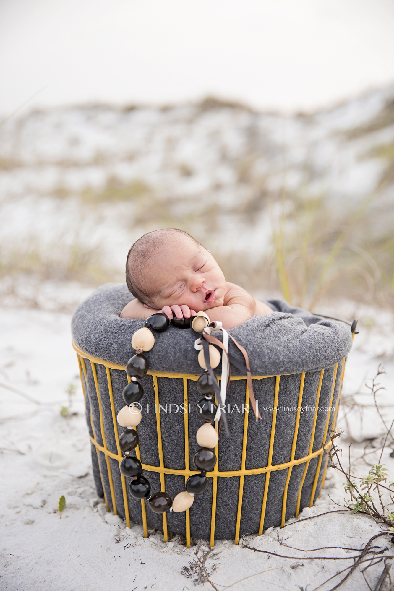9 Lindsey Friar Photography 2014 W1