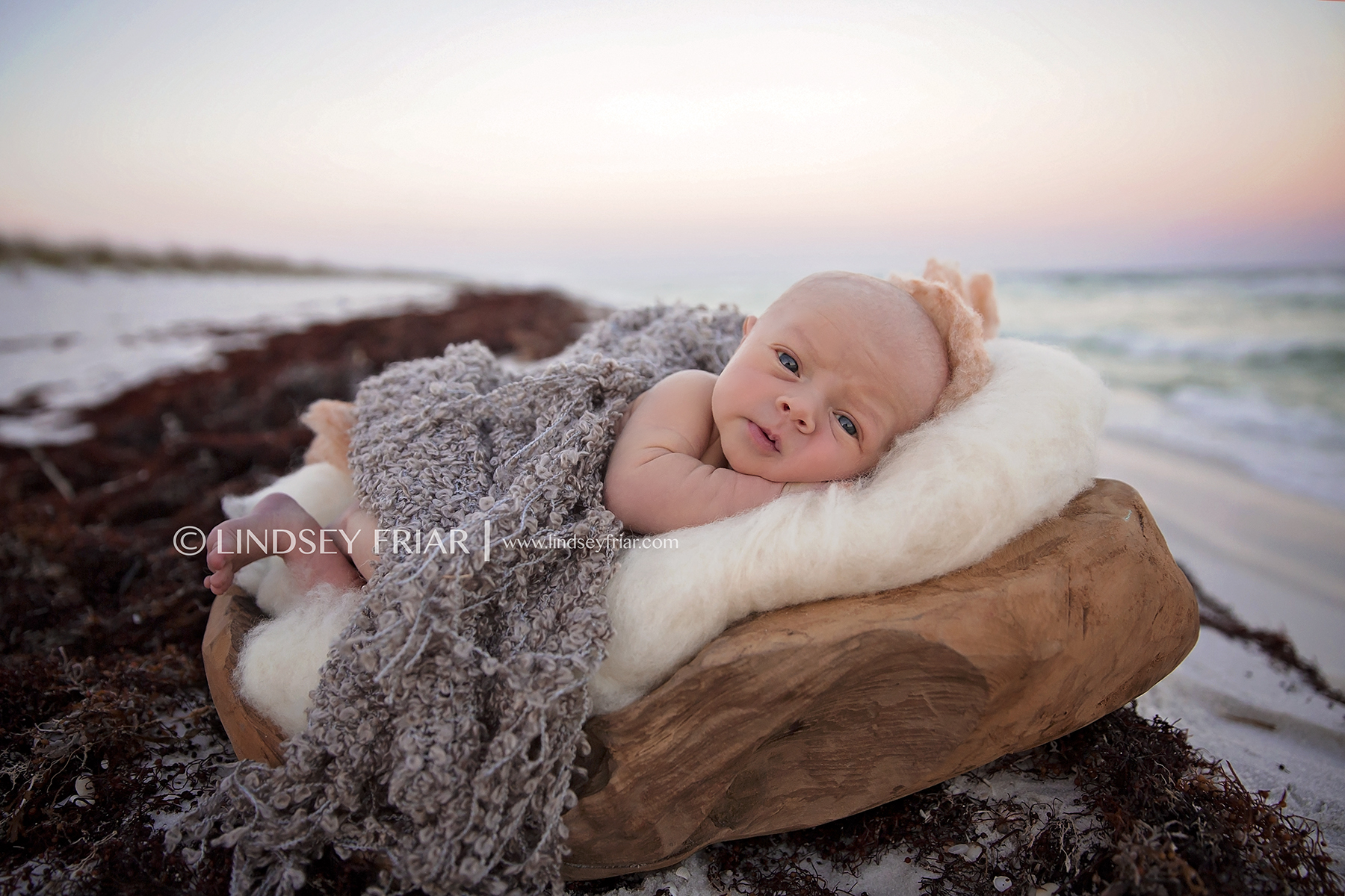 Lindsey Friar Photography 2014 Newborn Photographer Pensacola Florida 2