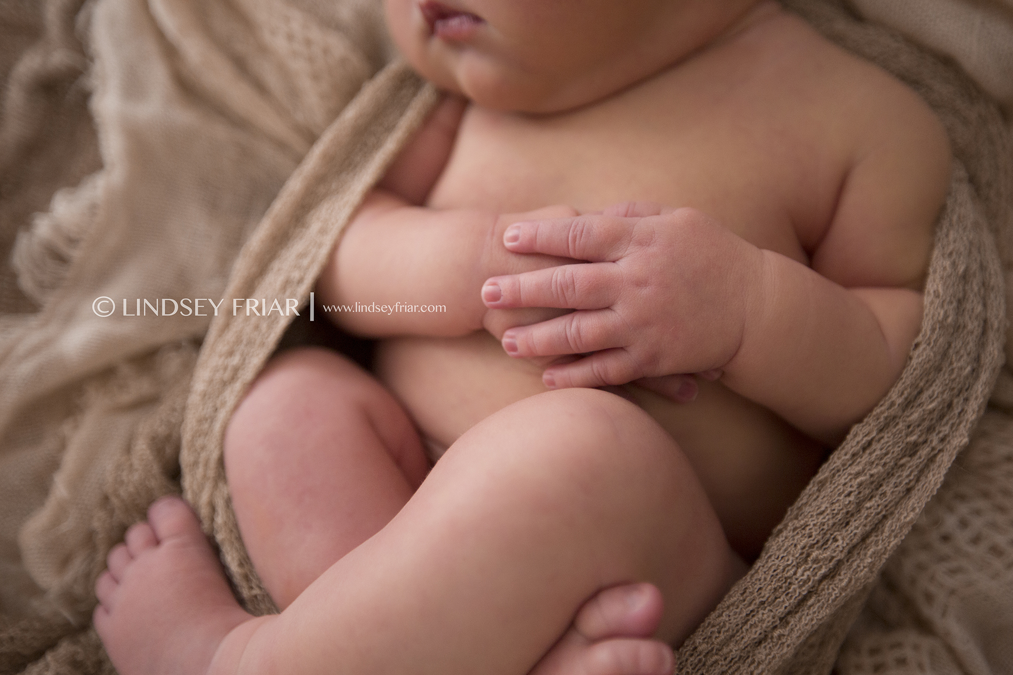 60 Lindsey Friar Photography 2014 W