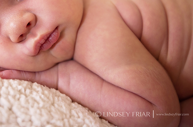 32 Lindsey Friar Photography 2014