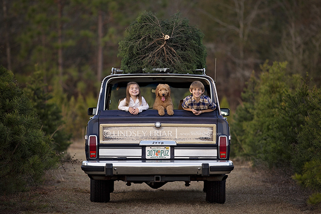 334 Lindsey Friar Photography 2014