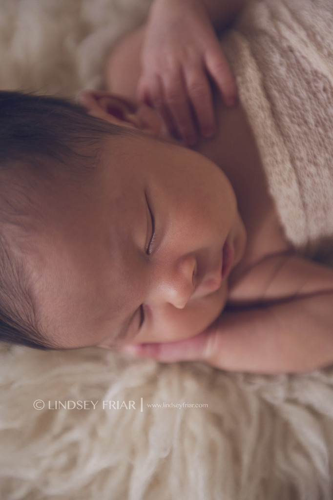 36-Lindsey Friar Photography 2014
