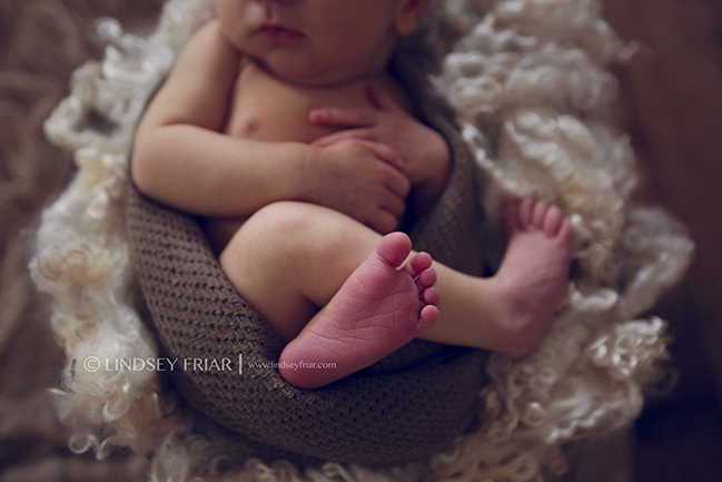 41 Lindsey Friar Photography 2014