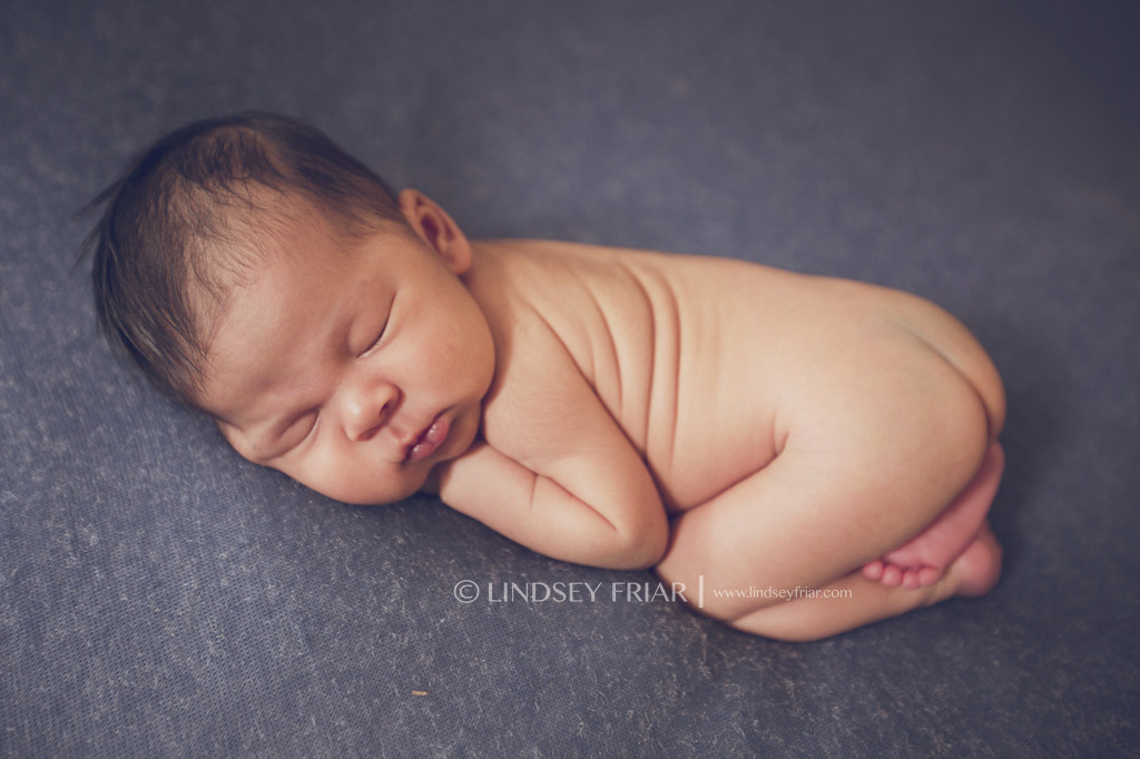 43-Lindsey Friar Photography 2014