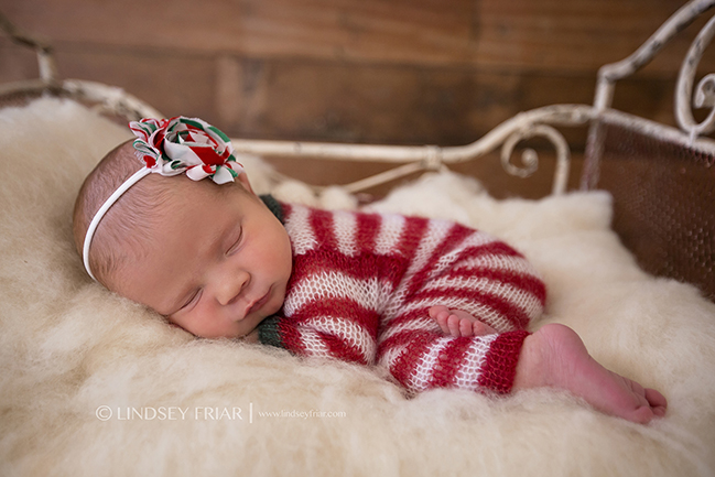 58 Lindsey Friar Photography 2014