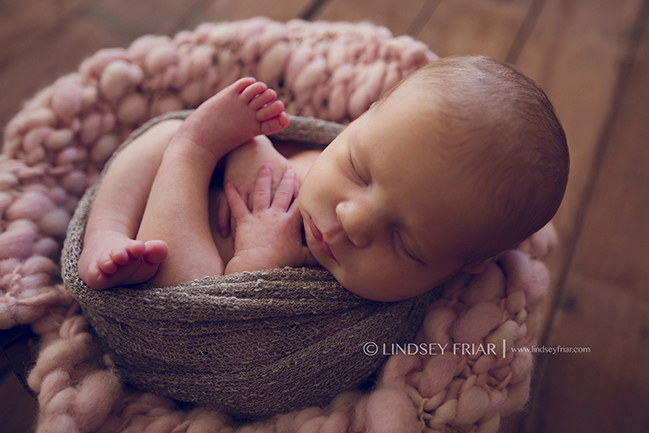 65 Lindsey Friar Photography 2014