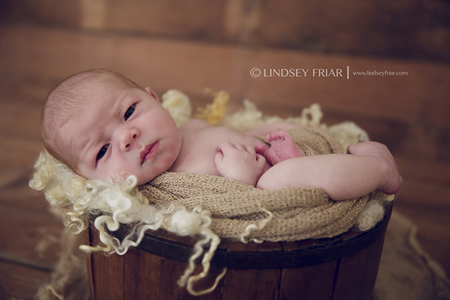 1 Lindsey Friar Photography 20151