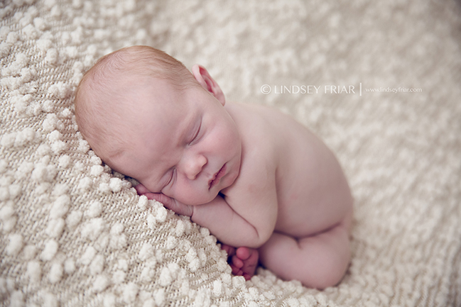64 Lindsey Friar Photography 2015