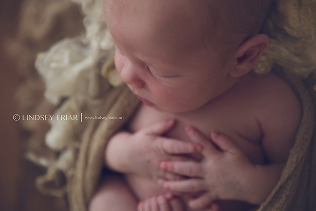 87 Lindsey Friar Photography 2015