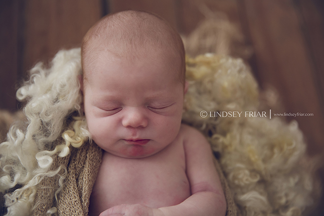90 Lindsey Friar Photography 2015