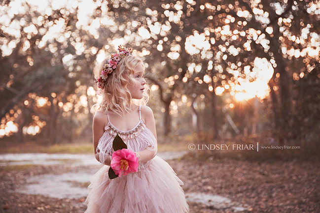 11 Lindsey Friar Photography 2015
