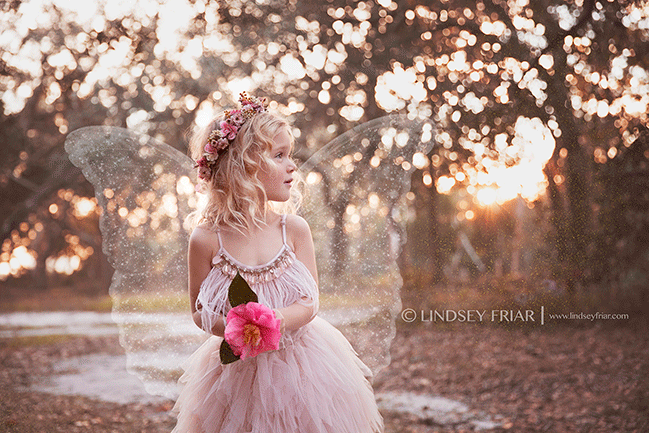 12 Lindsey Friar Photography 2015