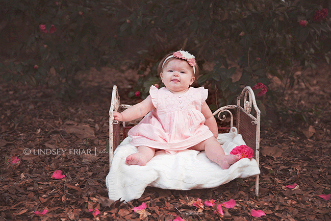 Pensacola Baby and Family Photographer - Lindsey Friar Photography 2015