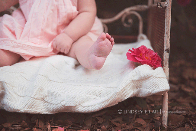 Pensacola Baby and Family Photographer - Lindsey Friar Photography 2015