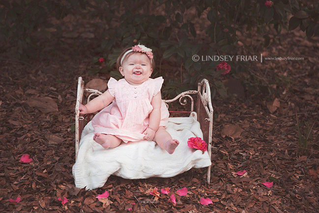 Pensacola Baby and Family Photographer - Lindsey Friar Photography 2015