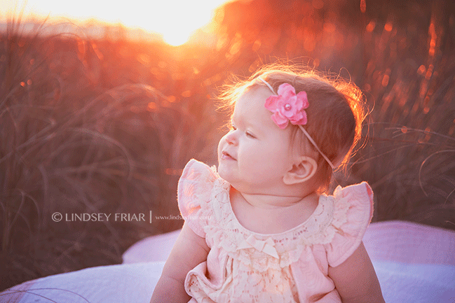 Pensacola Baby and Family Photographer - Lindsey Friar Photography 2015