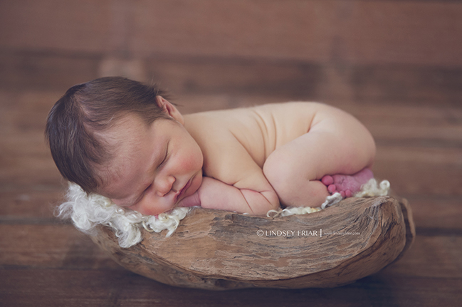 Lindsey Friar Photography 2014 7