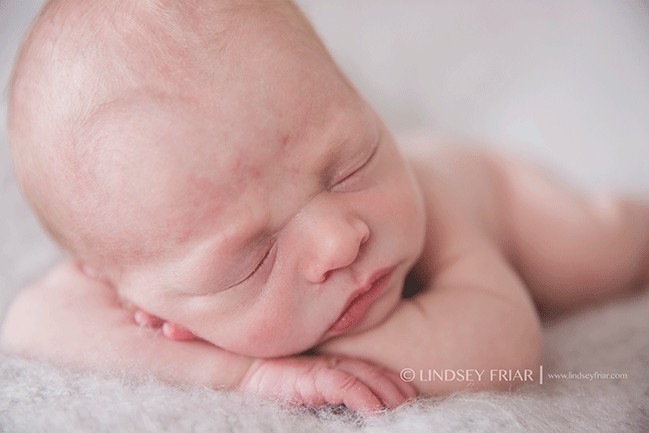 Pensacola Newborn Photographer - Lindsey Friar Photography 2015