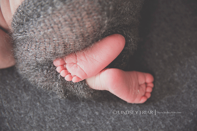 Pensacola Newborn Photographer - Lindsey Friar Photography 2015