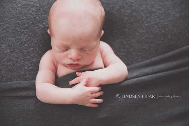 Pensacola Newborn Photographer - Lindsey Friar Photography 2015