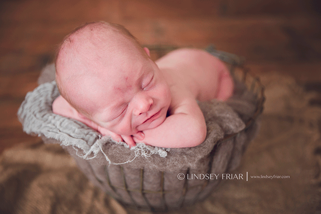 Pensacola Newborn Photographer - Lindsey Friar Photography 2015